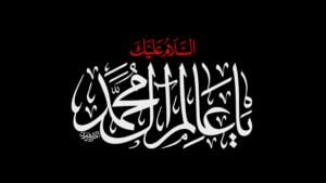 شهادت امام رضا .. شبهه مرگ طبیعی .. یا با انگور مسموم .. توسط مامون