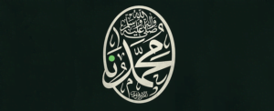 پیامبر از جنس مردم ، پایگاه اینترنتی آیت الله فاضل